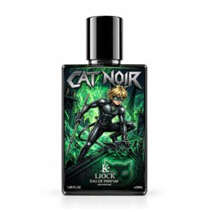 cat-noir1